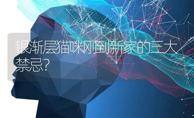 古牧的身高和体型到底可以长到几岁？ | 动物养殖问答