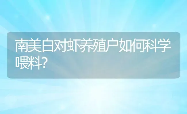 南美白对虾养殖户如何科学喂料？ | 动物养殖百科