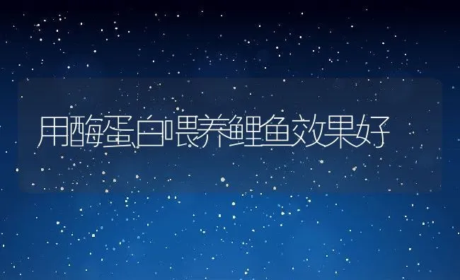 用酶蛋白喂养鲤鱼效果好 | 动物养殖饲料