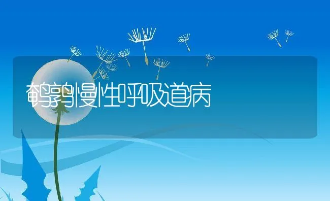 鹌鹑慢性呼吸道病 | 动物养殖学堂