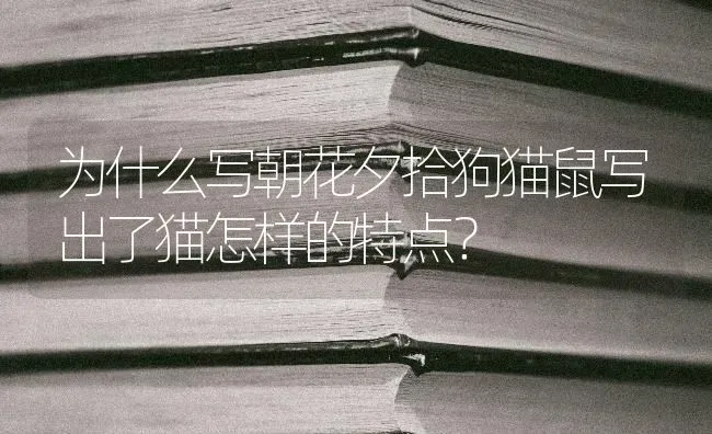 边牧刚出生毛色全黑？ | 动物养殖问答