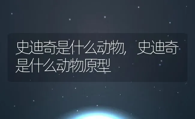 史迪奇是什么动物,史迪奇是什么动物原型 | 宠物百科知识