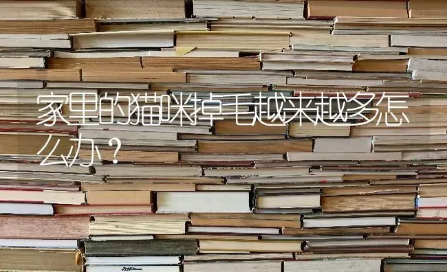 简介一下蝴蝶犬、小鹿狗、博美、吉娃娃、狐狸狗的特点、特征等等~？ | 动物养殖问答