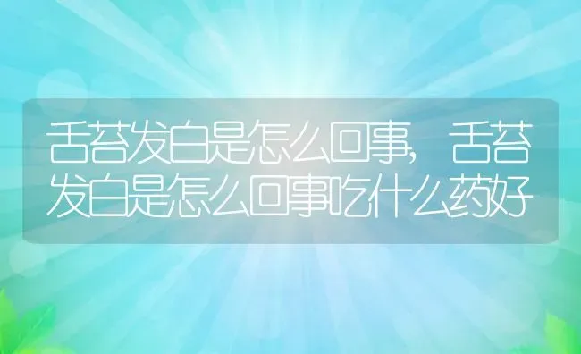 舌苔发白是怎么回事,舌苔发白是怎么回事吃什么药好 | 宠物百科知识