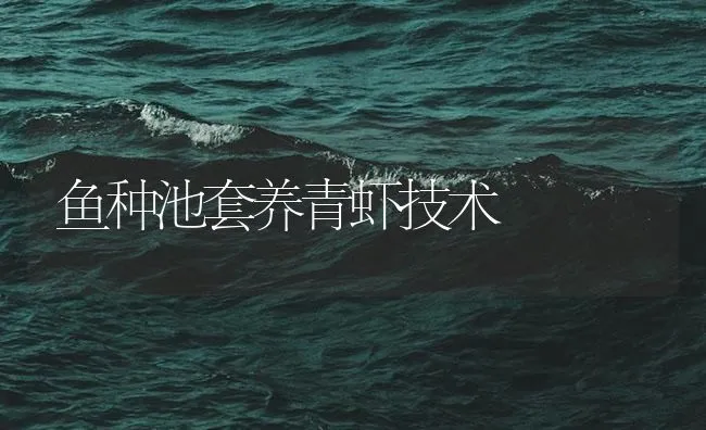 鱼种池套养青虾技术 | 海水养殖技术