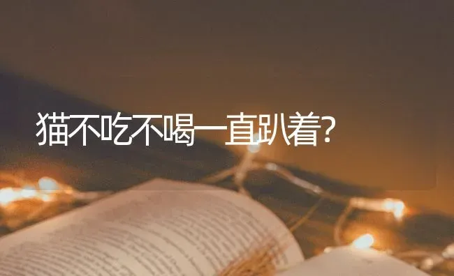 猫不吃不喝一直趴着？ | 动物养殖问答