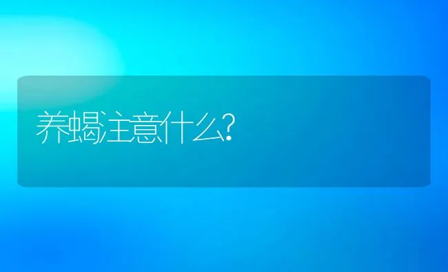 养蝎注意什么? | 动物养殖饲料