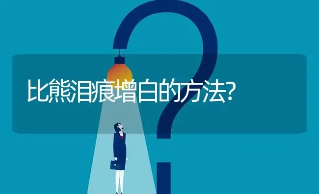 比熊泪痕增白的方法？ | 动物养殖问答