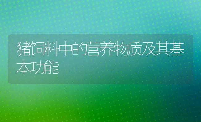 猪饲料中的营养物质及其基本功能 | 动物养殖学堂