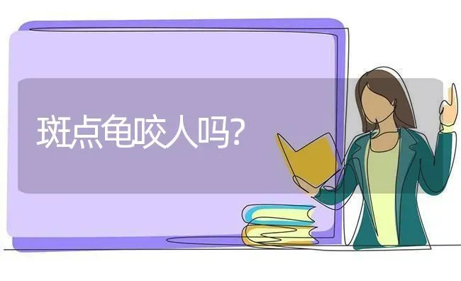 400元的布偶猫图片？ | 动物养殖问答