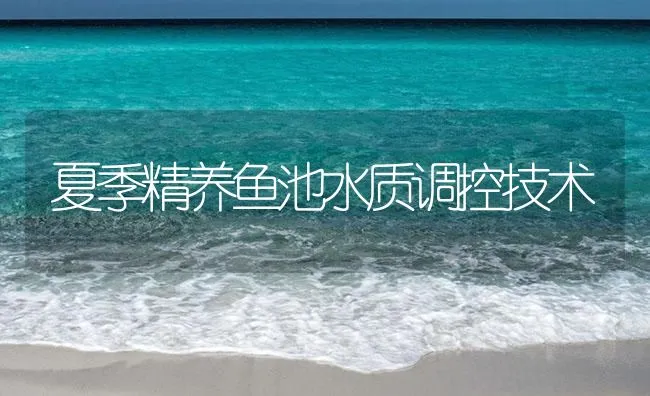 夏季精养鱼池水质调控技术 | 海水养殖技术