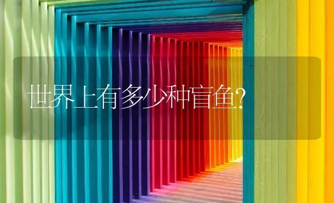 世界上有多少种盲鱼？ | 鱼类宠物饲养