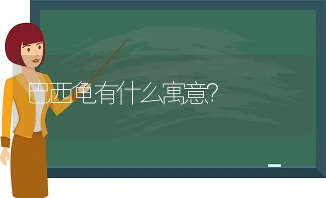 巴西龟有什么寓意？ | 动物养殖问答