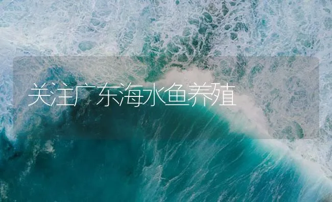 关注广东海水鱼养殖 | 海水养殖技术