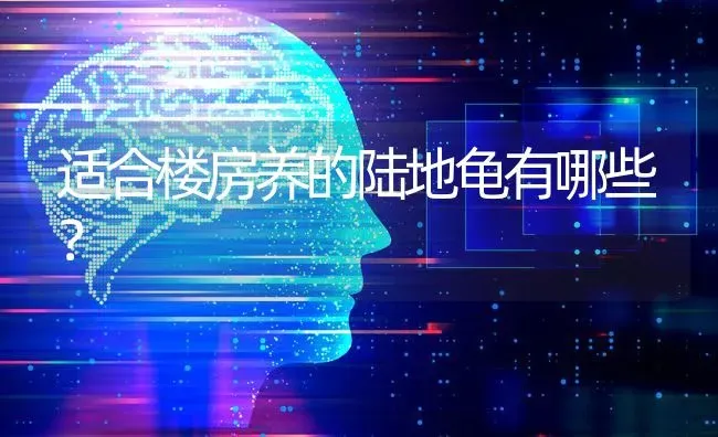 适合楼房养的陆地龟有哪些？ | 动物养殖问答