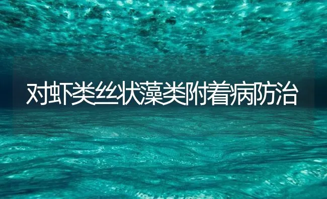 对虾类丝状藻类附着病防治 | 海水养殖技术