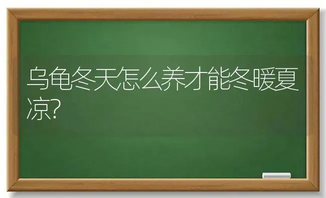 乌龟冬天怎么养才能冬暖夏凉？ | 动物养殖问答