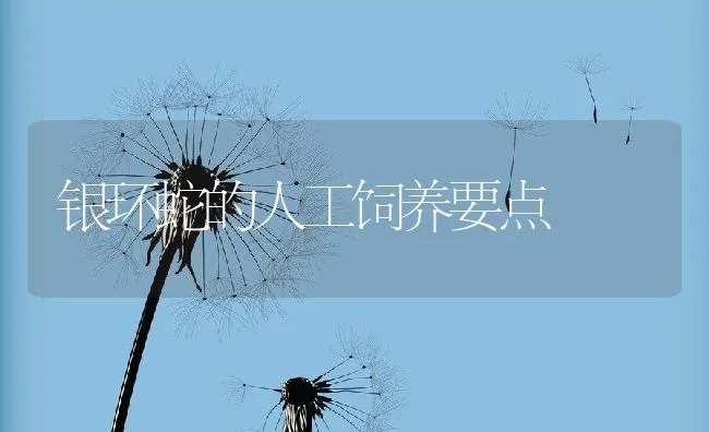 给母猪人工授精时应注意哪些事项？ | 动物养殖学堂