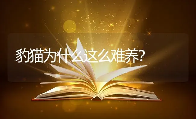 狗狗两次体内驱虫需要间隔多久？ | 动物养殖问答