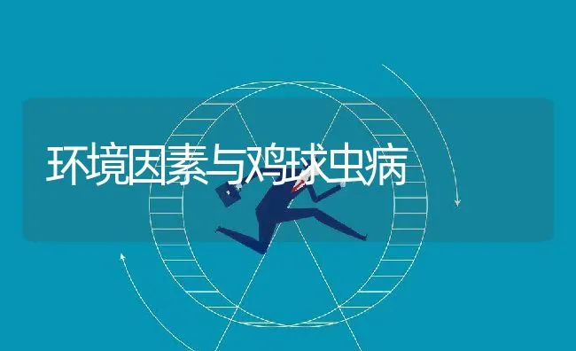 环境因素与鸡球虫病 | 动物养殖学堂