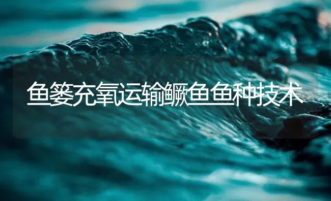 鱼篓充氧运输鳜鱼鱼种技术 | 海水养殖技术