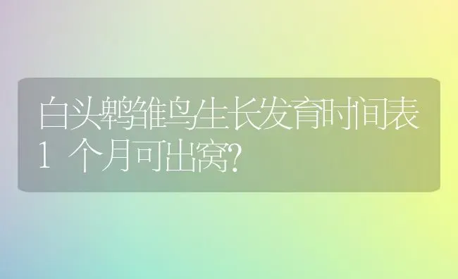 白头鹎雏鸟生长发育时间表1个月可出窝？ | 动物养殖问答