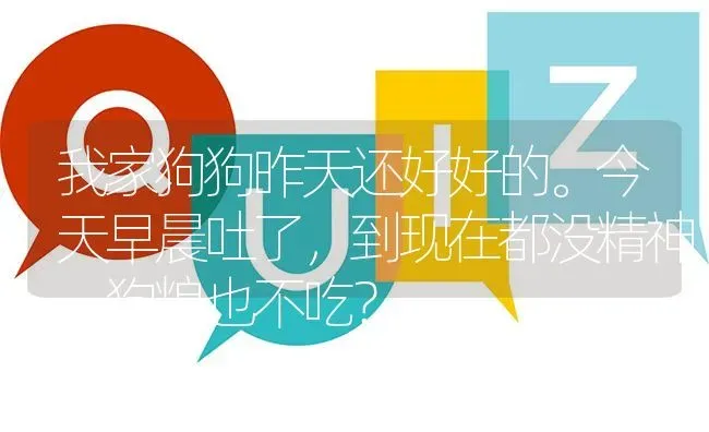 我家狗狗昨天还好好的。今天早晨吐了，到现在都没精神，狗粮也不吃？ | 动物养殖问答