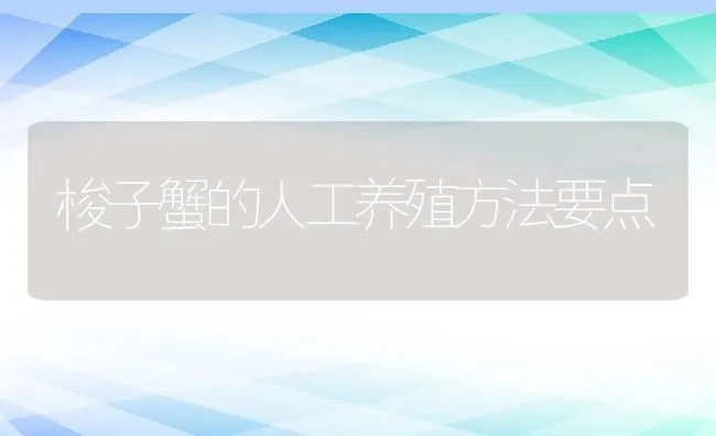 梭子蟹的人工养殖方法要点 | 动物养殖饲料