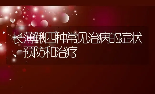 长薄鳅四种常见治病的症状、预防和治疗 | 动物养殖百科