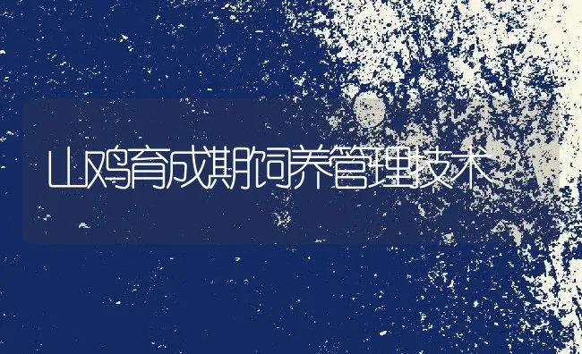 山鸡育成期饲养管理技术 | 水产养殖知识