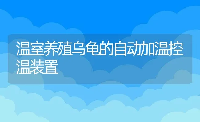 温室养殖乌龟的自动加温控温装置 | 水产养殖知识