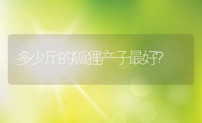 多少斤的狐狸产子最好？ | 动物养殖教程