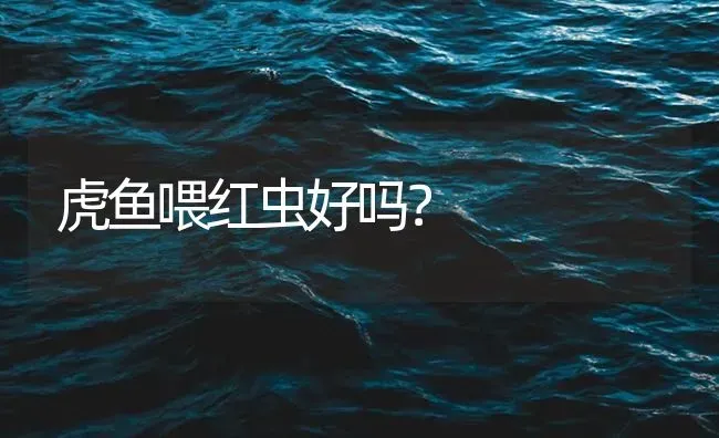 虎鱼喂红虫好吗？ | 鱼类宠物饲养