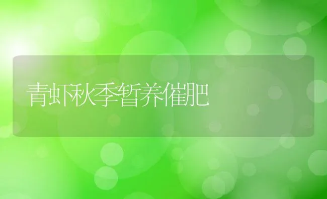 青虾秋季暂养催肥 | 动物养殖饲料