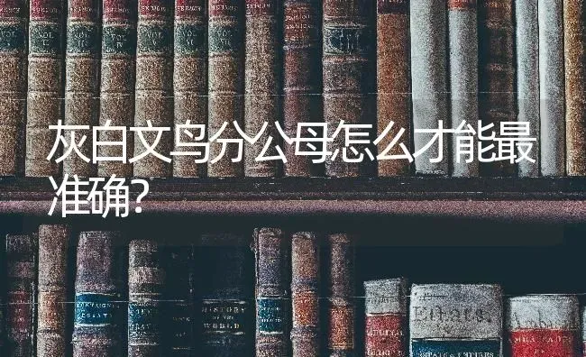 灰白文鸟分公母怎么才能最准确？ | 动物养殖问答