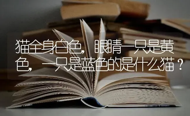 40天的小狗会有狂犬病吗？ | 动物养殖问答