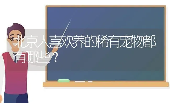 北京人喜欢养的稀有宠物都有哪些？ | 动物养殖问答