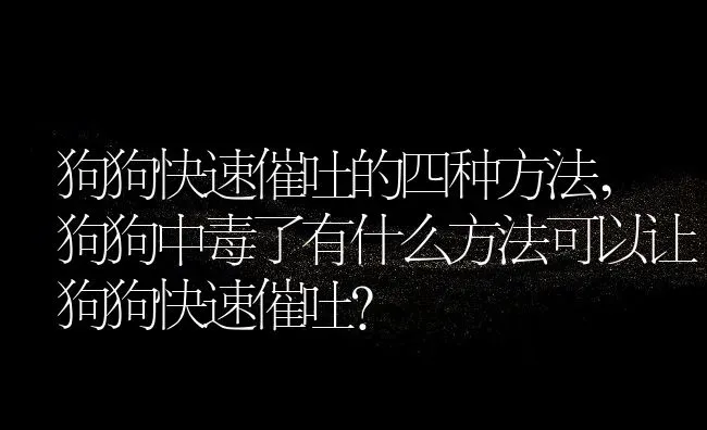 狗狗快速催吐的四种方法,狗狗中毒了有什么方法可以让狗狗快速催吐？ | 宠物百科知识