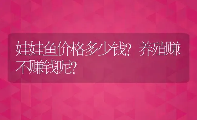 娃娃鱼价格多少钱?养殖赚不赚钱呢? | 动物养殖百科