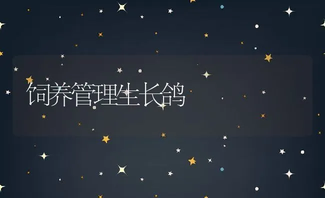 冬季奶山羊的特别护理 | 动物养殖学堂