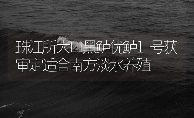 珠江所大口黑鲈优鲈1号获审定适合南方淡水养殖 | 海水养殖技术