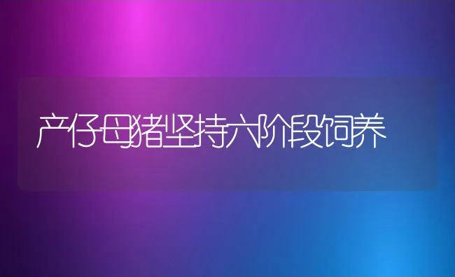 产仔母猪坚持六阶段饲养 | 动物养殖学堂