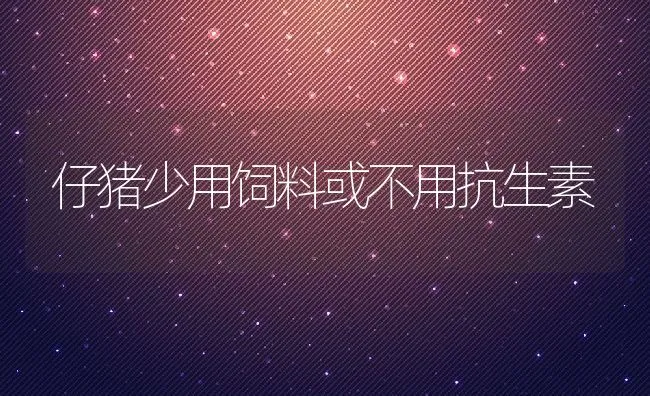 养殖蛇卵孵化的技术要领 | 动物养殖学堂