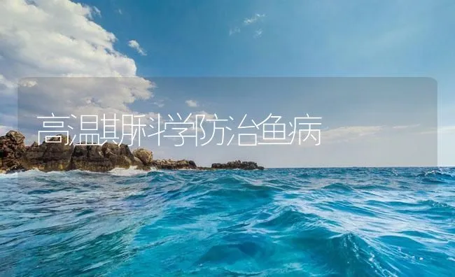 高温期科学防治鱼病 | 海水养殖技术