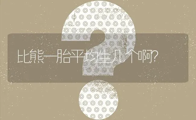 比熊一胎平均生几个啊？ | 动物养殖问答