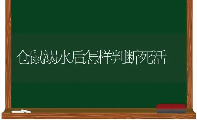 仓鼠溺水后怎样判断死活 | 动物养殖问答