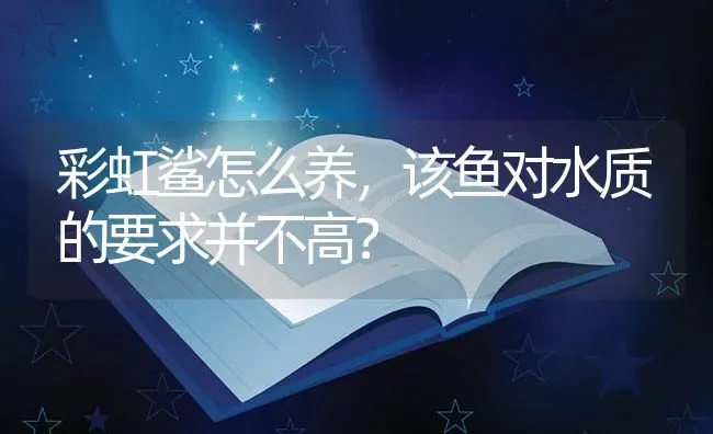 彩虹鲨怎么养，该鱼对水质的要求并不高？ | 鱼类宠物饲养