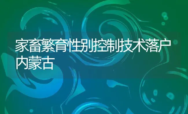 家畜繁育性别控制技术落户内蒙古 | 动物养殖饲料