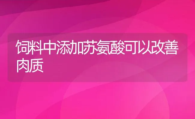 饲料中添加苏氨酸可以改善肉质 | 动物养殖饲料