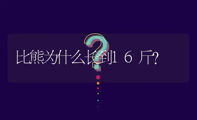 比熊为什么长到16斤？ | 动物养殖问答